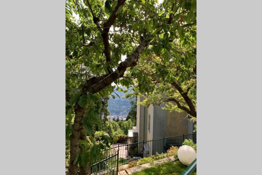 דירות ברונאטה The Cherry Garden House Loft Lusso מראה חיצוני תמונה